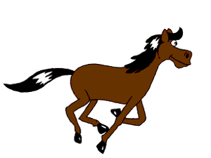 Animation