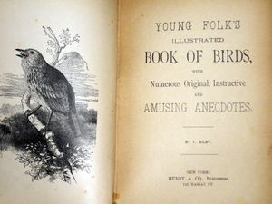 Young Folks Illustrated Book of Birds