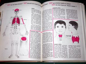 The Children's Book of Questions and Answers