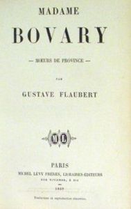 Madame Bovary: Mœurs de province
