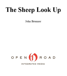 The Sheep Look Up