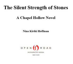 The Silent Strength of Stones