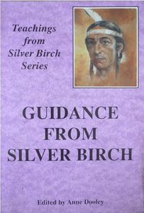 Guidance from Silver Birch