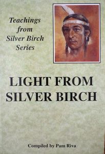 Light from Silver Birch