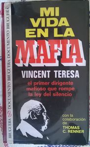 Mi Vida En La Mafia