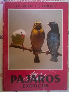 Pajaros Exoticos