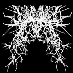 Iapethos