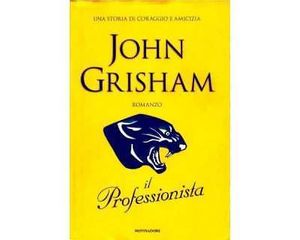 Il Professionista