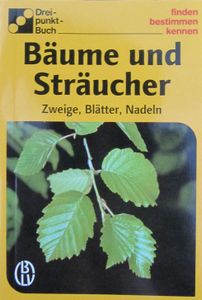 Bäume und Sträucher. Zweige, Blätter, Nadeln