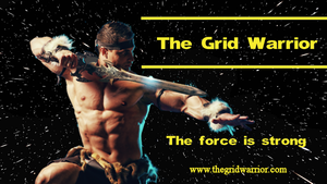 The Grid Warrior