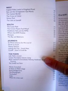 Real Cardiff: The Flourishing City
