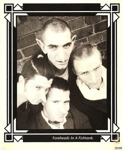 Foreheads In A Fishtank
