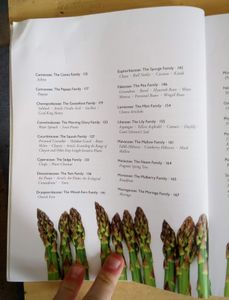 Perennial Vegetables