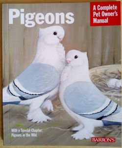 Pigeons