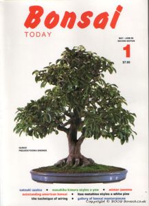 Bonsai today 1 second edition