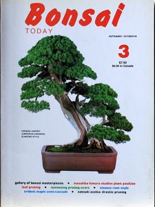 Bonsai today 3