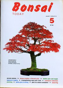 Bonsai today 5