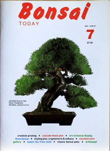 Bonsai today 7