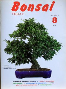 Bonsai today 8