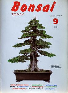 Bonsai today 9