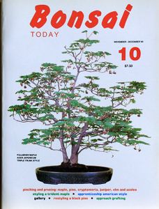 Bonsai today 10