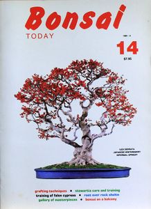 Bonsai today 14
