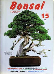 Bonsai today 15