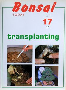 Bonsai today 17 transplanting