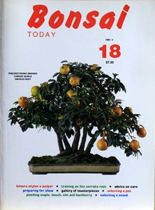 Bonsai today 18