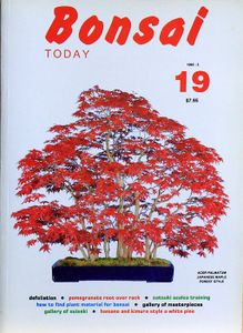 Bonsai today 19