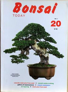 Bonsai today 20