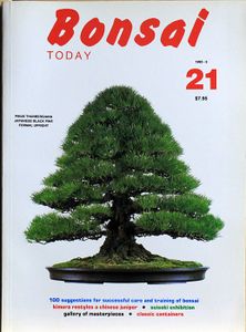 Bonsai today 21