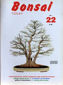 Bonsai today 22