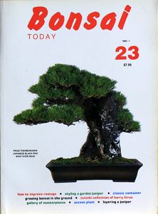 Bonsai today 23