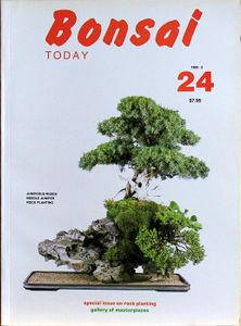 Bonsai today 24