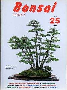 Bonsai today 25
