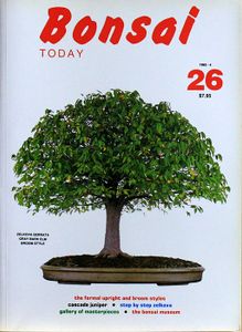 Bonsai today 26