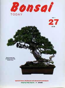 Bonsai today 27