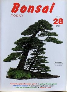 Bonsai today 28