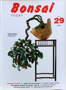 Bonsai today 29