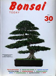 Bonsai today 30