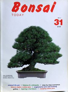 Bonsai today 31