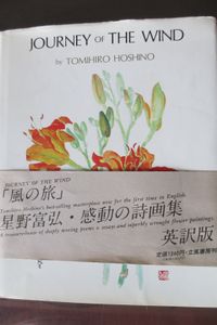 Journey of the Wind