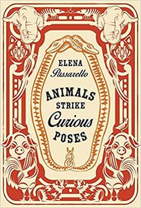 Animals Strike Curious Poses