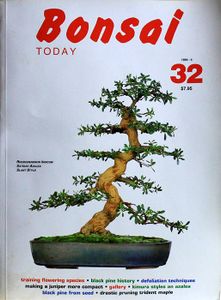 Bonsai today 32