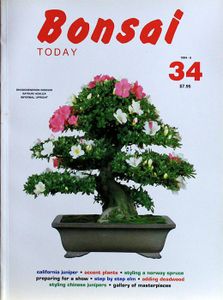 Bonsai today 34