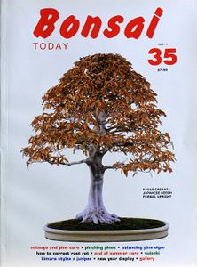 Bonsai today 35