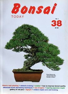 Bonsai today 38