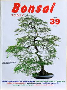 Bonsai today 39