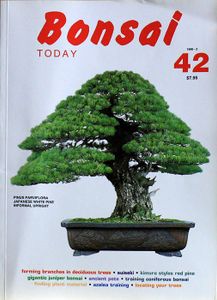 Bonsai today 42